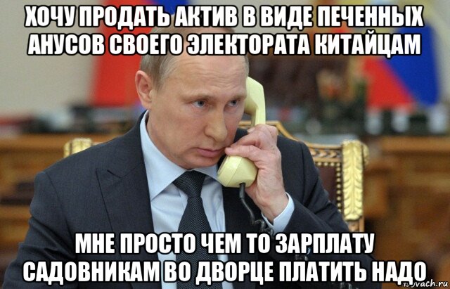 хочу продать актив в виде печенных анусов своего электората китайцам мне просто чем то зарплату садовникам во дворце платить надо, Мем Владимир путин звонит