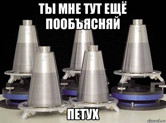 ты мне тут ещё пообъясняй петух