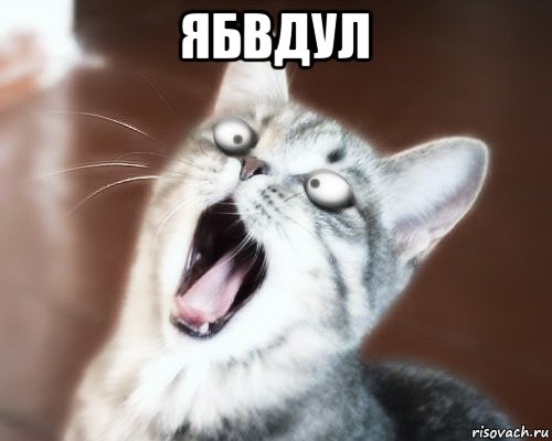 ябвдул , Мем Ябвдул