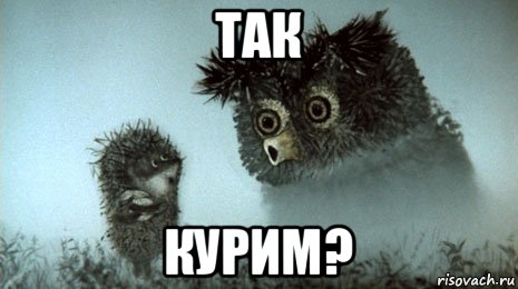 так курим?