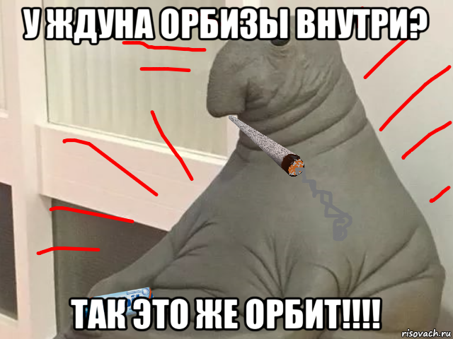 у ждуна орбизы внутри? так это же орбит!!!!