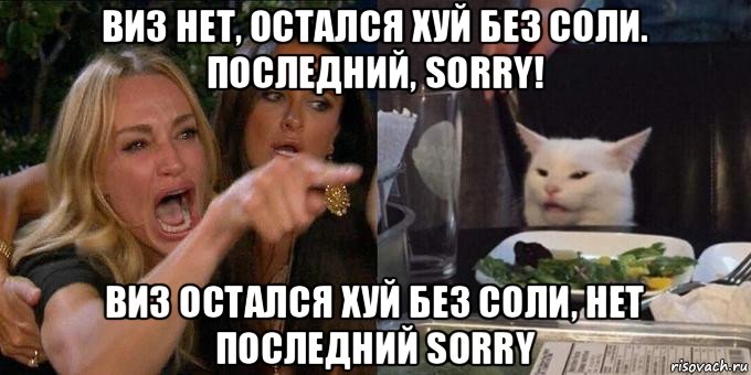 виз нет, остался хуй без соли. последний, sorry! виз остался хуй без соли, нет последний sorry