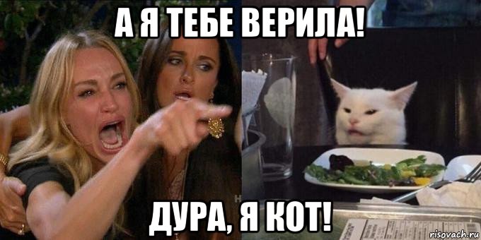 а я тебе верила! дура, я кот!, Мем Женщина орёт на кота