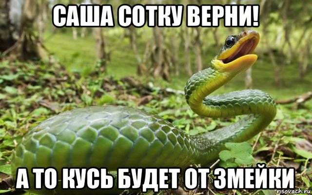 саша сотку верни! а то кусь будет от змейки