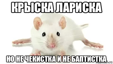 крыска лариска но не чекистка и не баптистка