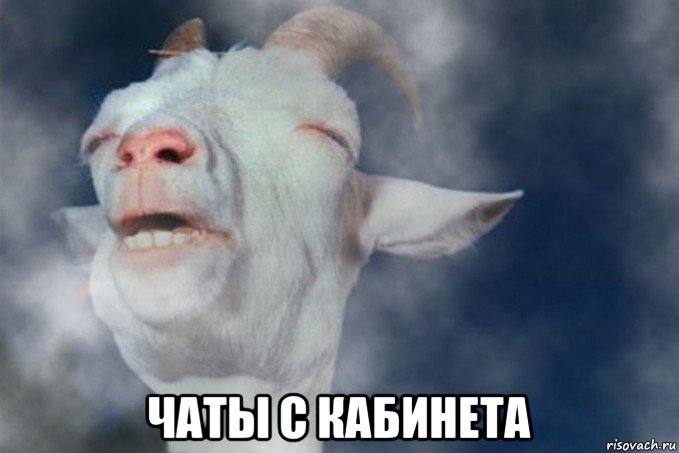  чаты с кабинета