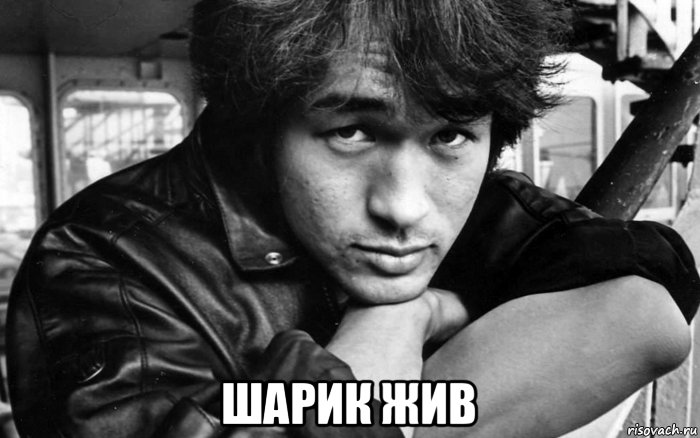  шарик жив