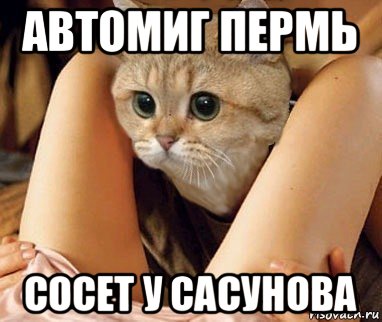 автомиг пермь сосет у сасунова