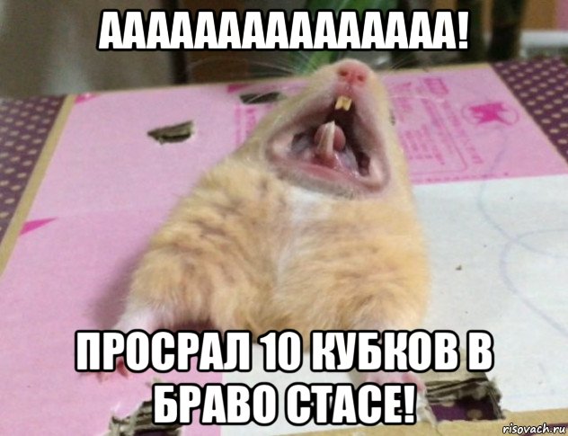 ааааааааааааааа! просрал 10 кубков в браво стасе!