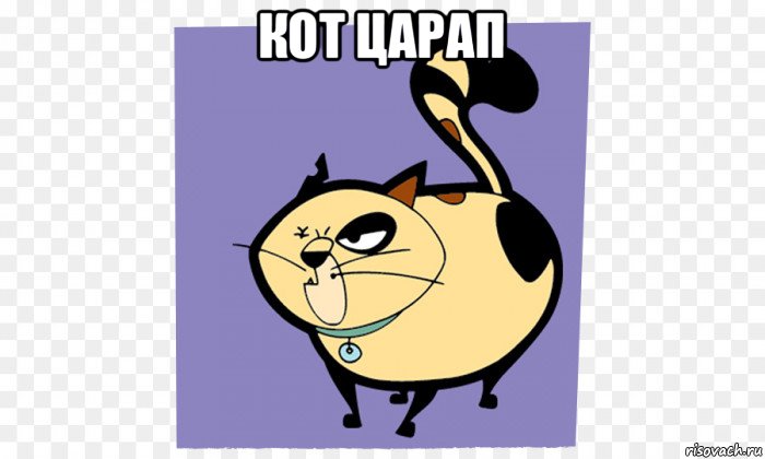 кот царап 
