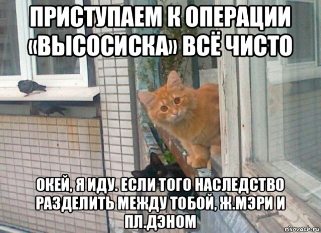 приступаем к операции «высосиска» всё чисто окей, я иду. если того наследство разделить между тобой, ж.мэри и пл.дэном