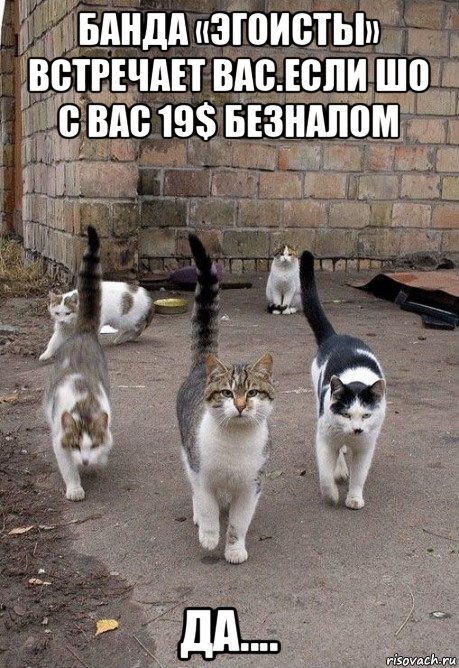 банда «эгоисты» встречает вас.если шо с вас 19$ безналом да....