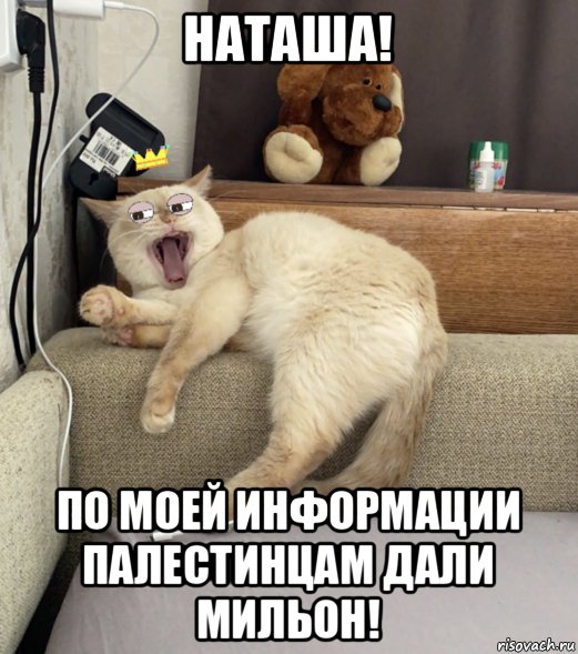 наташа! по моей информации палестинцам дали мильон!