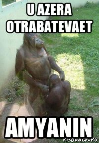 u azera otrabatevaet amyanin