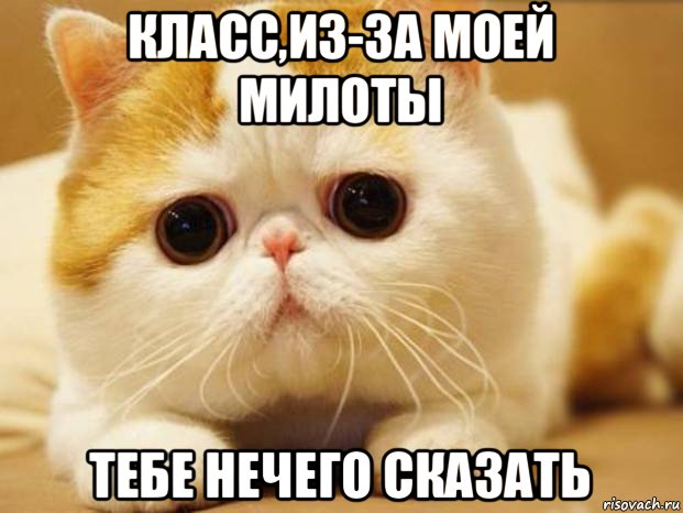 класс,из-за моей милоты тебе нечего сказать