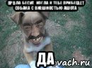 првда бесит, когда к тебе прибегает собака с внешностью ашота да