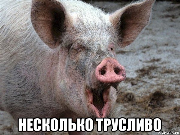 несколько трусливо