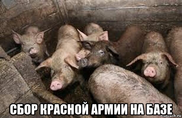  сбор красной армии на базе