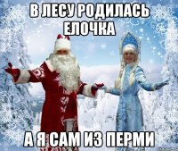 в лесу родилась елочка а я сам из перми