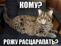 кому? рожу расцарапать?