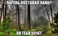 парень поставил лайк? он тебя хочет