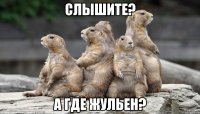 слышите? а где жульен?