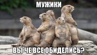 мужики вы че все обиделись?