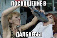 посвящение в далбоёбы