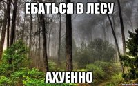 ебаться в лесу ахуенно