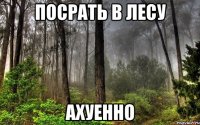 посрать в лесу ахуенно