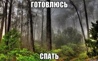 готовлюсь спать