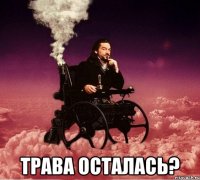  трава осталась?