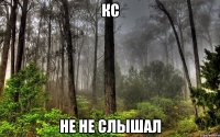 кс не не слышал