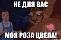 не для вас моя роза цвела!