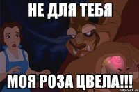 не для тебя моя роза цвела!!!