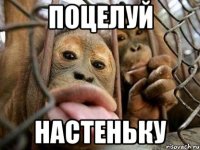 поцелуй настеньку