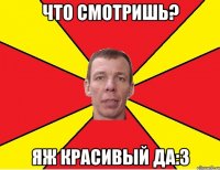 что смотришь? яж красивый да:3