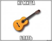 Ну Миша Блять