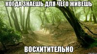 Когда знаешь для чего живешь восхитительно