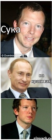 Сука но красивая)