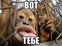 Вот Тебе