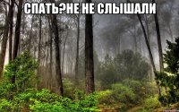 спать?не не слышали 