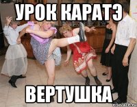 урок каратэ вертушка