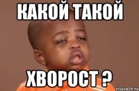 какой такой хворост ?