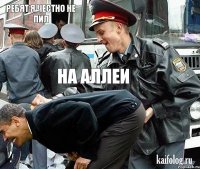 Ребят я честно не пил На аллеи 