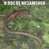 Я ПОСЛЕ ИКЗАМЕНОВ 