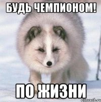 Будь чемпионом! По жизни