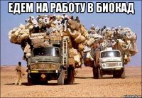 ЕДЕМ НА РАБОТУ В БИОКАД 