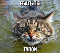 ебать ты тупой