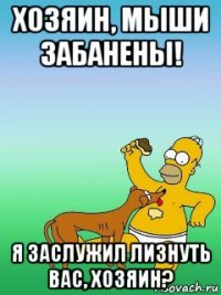 хозяин, мыши забанены! я заслужил лизнуть вас, хозяин?